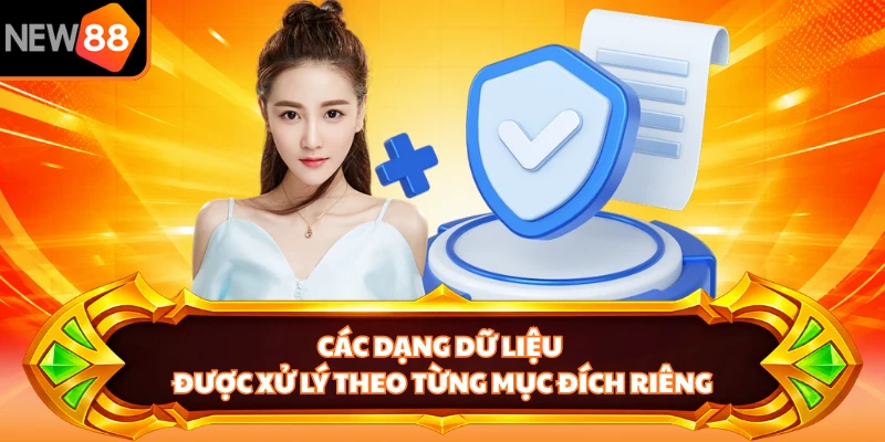 Các dạng dữ liệu được xử lý theo từng mục đích riêng 