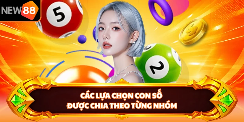 Các lựa chọn con số được chia theo từng nhóm