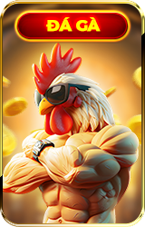 đá gà new88
