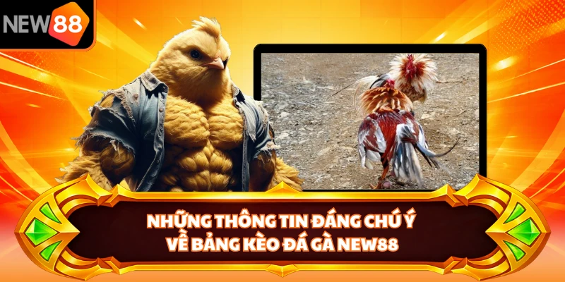 Những thông tin đáng chú về bảng kèo đá gà NEW88